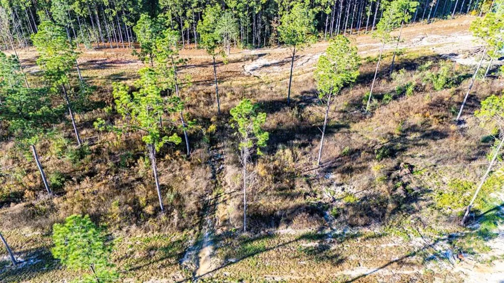 2 Black Buck Drive Moscow, TX 75960