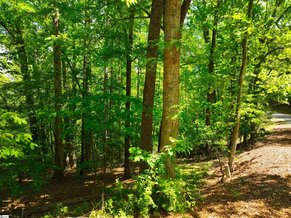 418 Pin Du Lac Drive Central, SC 29630