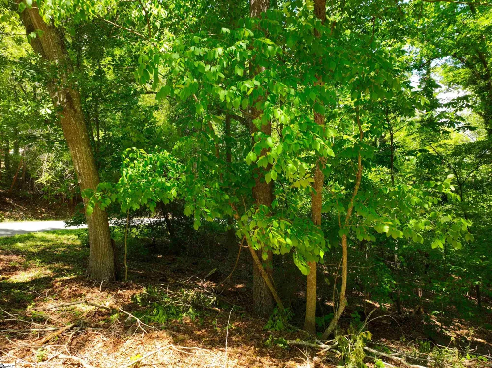 418 Pin Du Lac Drive Central, SC 29630