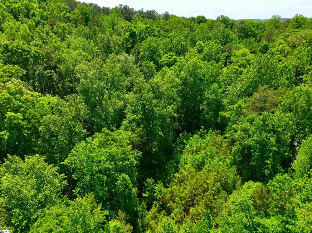 418 Pin Du Lac Drive Central, SC 29630