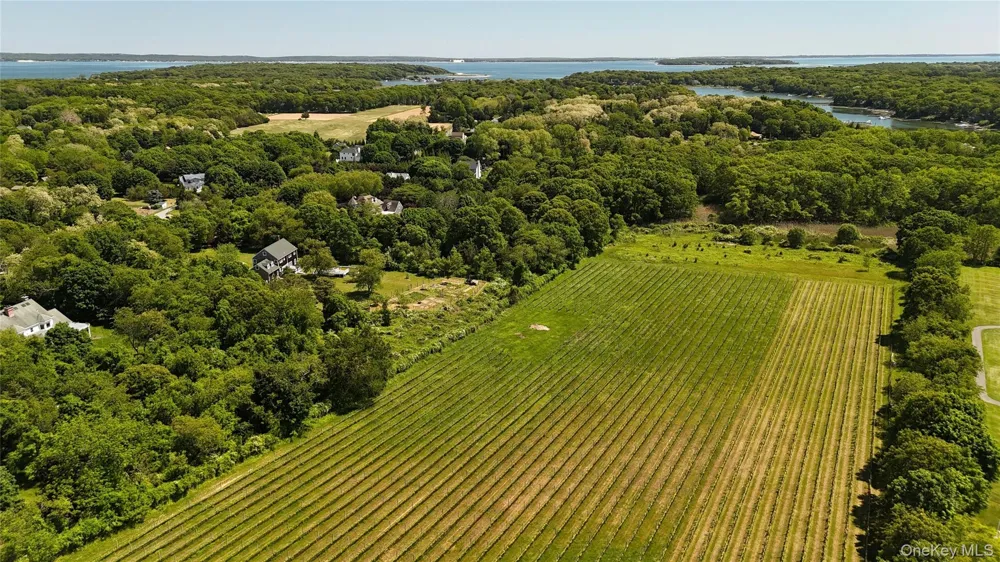 35950 Main Road Cutchogue, NY 11935