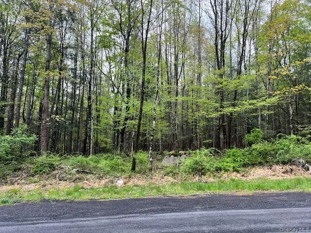 801 Oakwood Circle Kingston, NY 12401