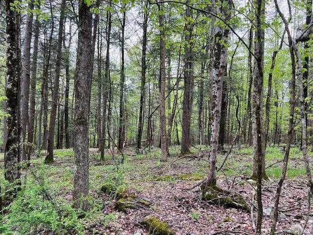801 Oakwood Circle Kingston, NY 12401