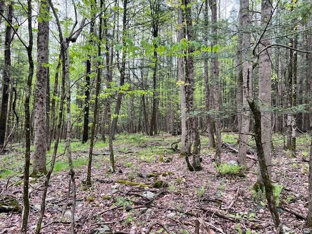 801 Oakwood Circle Kingston, NY 12401
