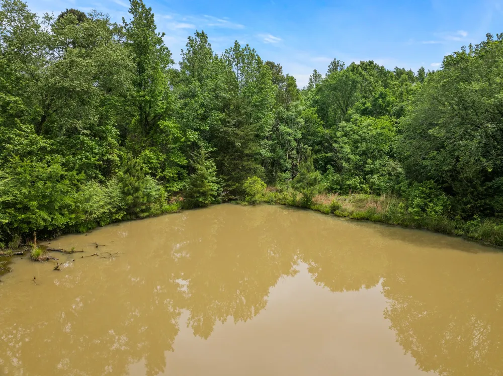 County Road 3322 Pittsburg, TX 75686