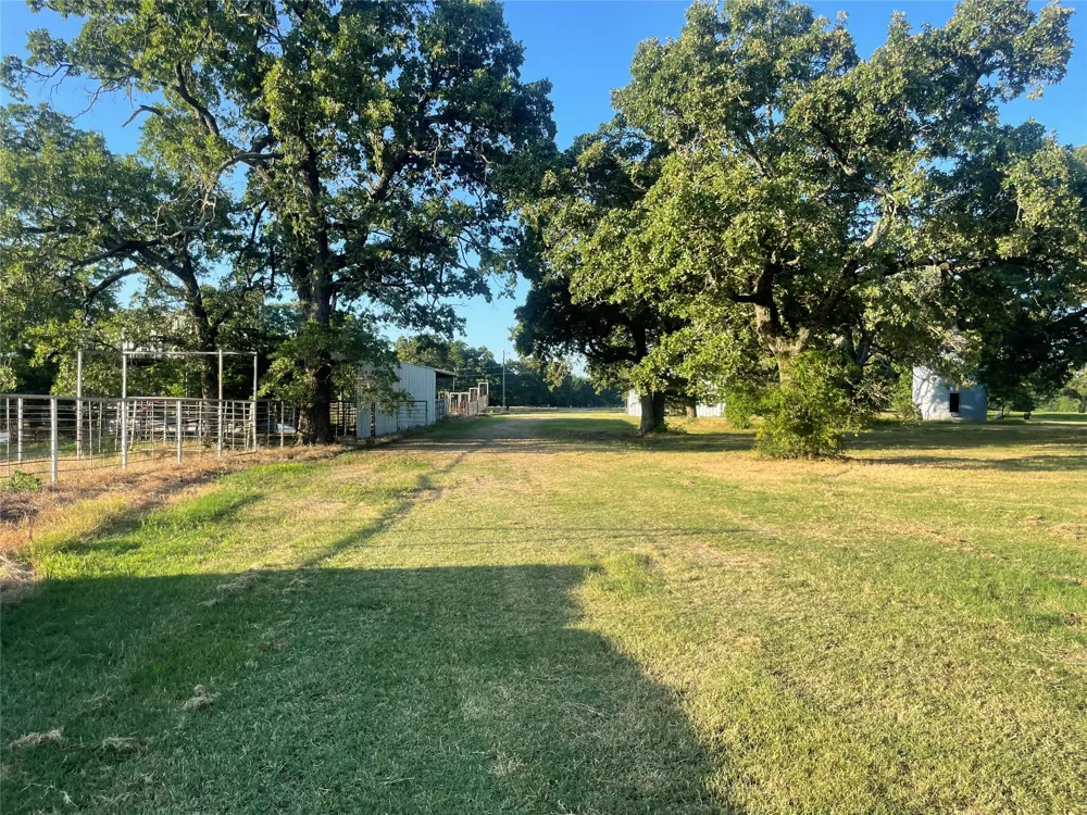 2031 E Fm 1396 Ivanhoe, TX 75447