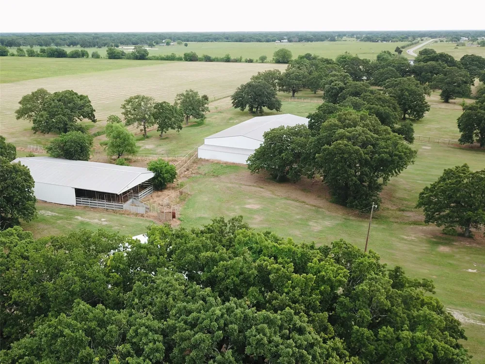 2031 E Fm 1396 Ivanhoe, TX 75447