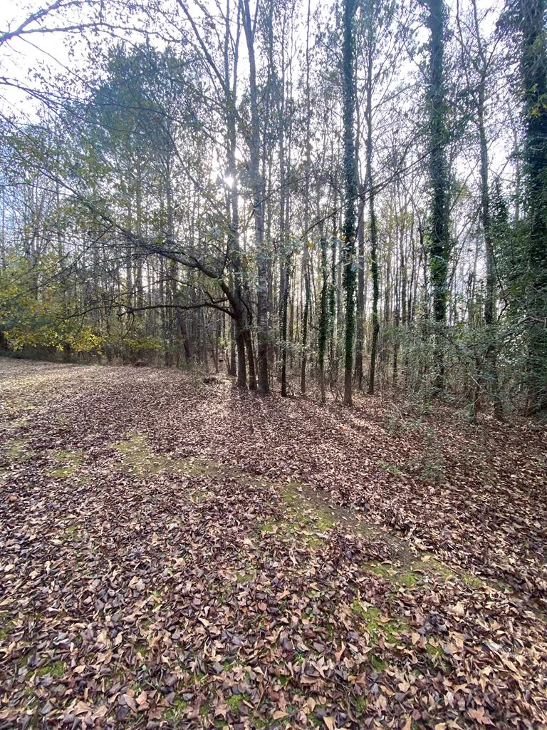 Lot 81 Woodland Drive Cataula, GA 31804