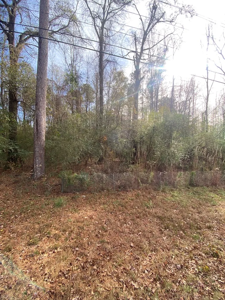 Lot 81 Woodland Drive Cataula, GA 31804