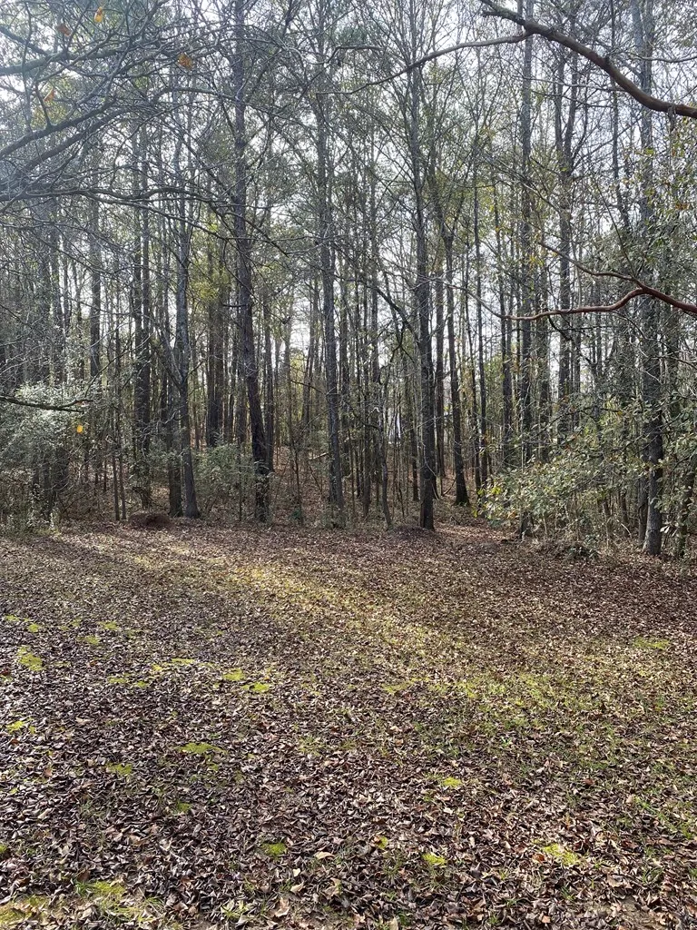 Lot 81 Woodland Drive Cataula, GA 31804