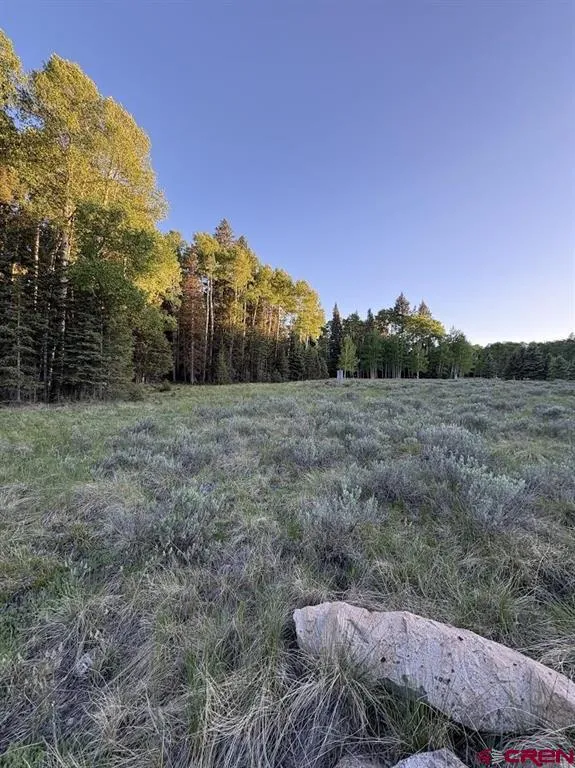 2150 Spruce Road Cimarron, CO 81220