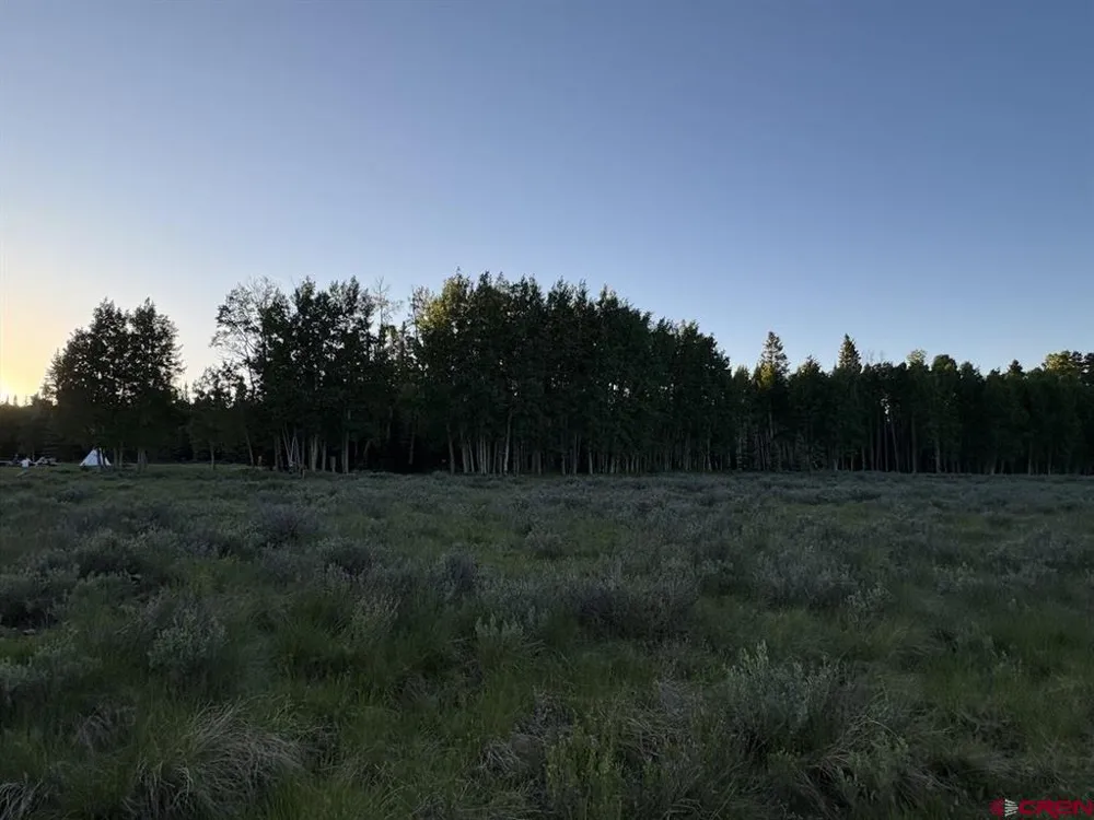 2150 Spruce Road Cimarron, CO 81220