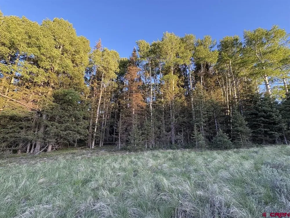 2150 Spruce Road Cimarron, CO 81220