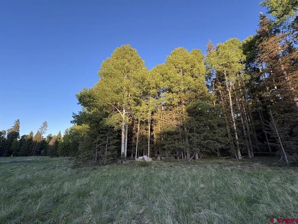 2150 Spruce Road Cimarron, CO 81220