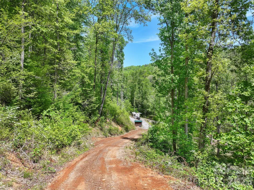 788 Cowee Tunnel Road Sylva, NC 28779