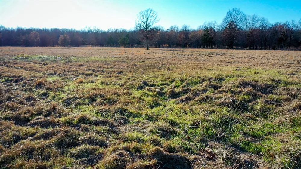 1200 County Road 1255 Detroit, TX 75436