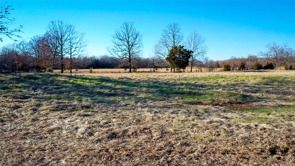 1200 County Road 1255 Detroit, TX 75436