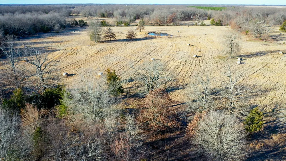1200 County Road 1255 Detroit, TX 75436