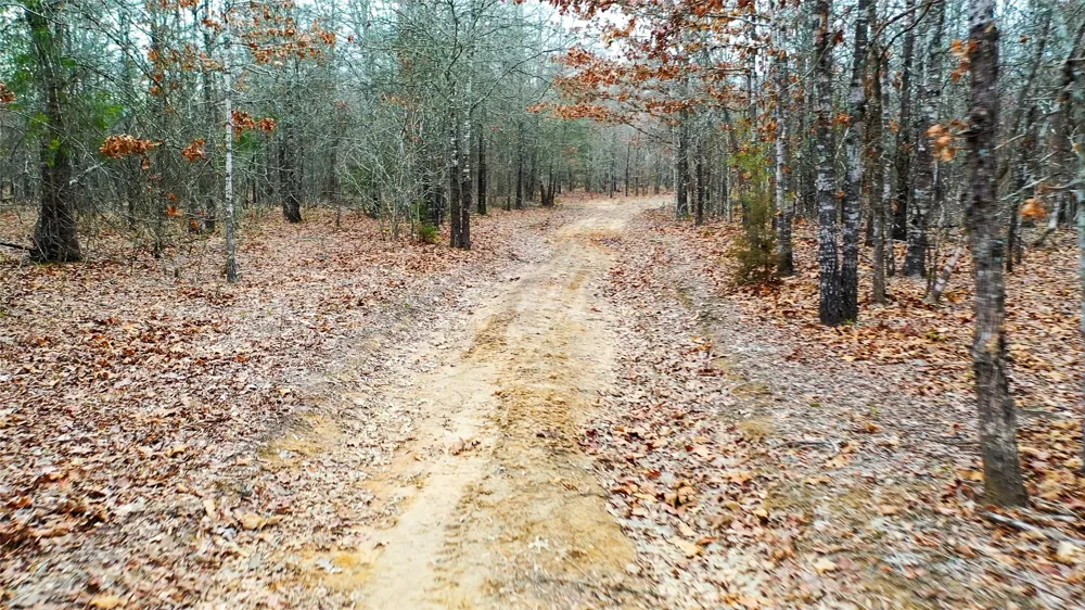 1200 County Road 1255 Detroit, TX 75436