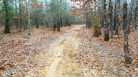 1200 County Road 1255