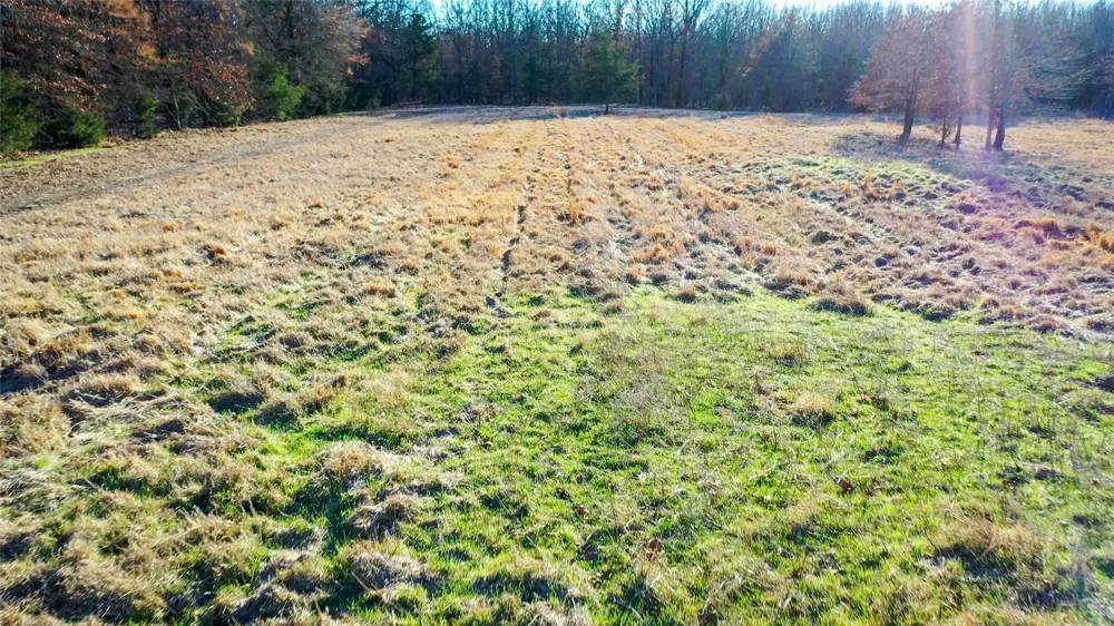1200 County Road 1255 Detroit, TX 75436