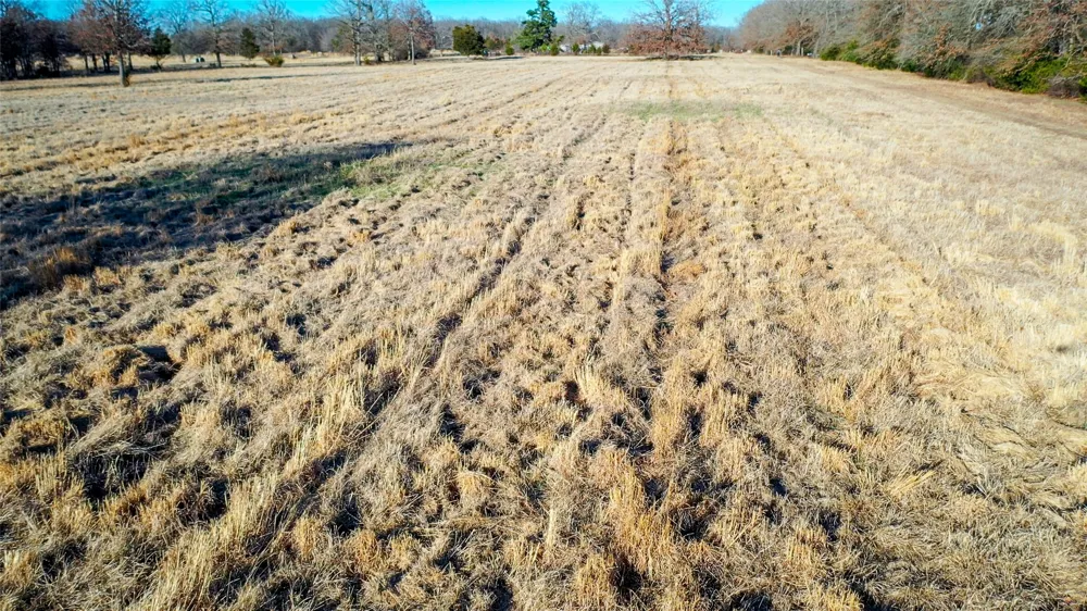 1200 County Road 1255 Detroit, TX 75436