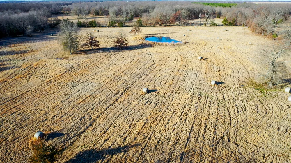 1200 County Road 1255 Detroit, TX 75436