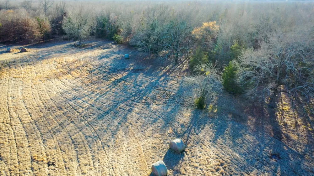 1200 County Road 1255 Detroit, TX 75436