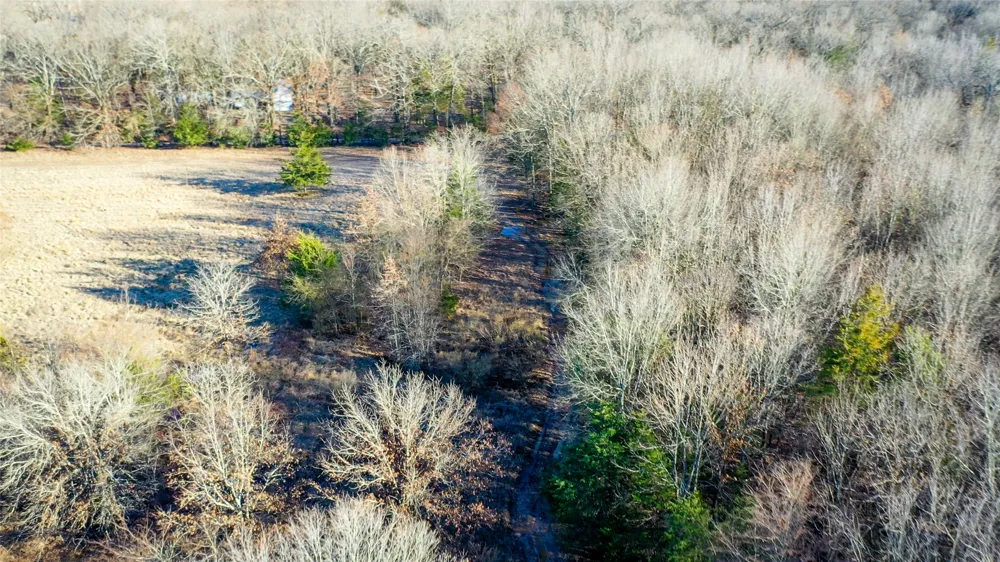 1200 County Road 1255 Detroit, TX 75436