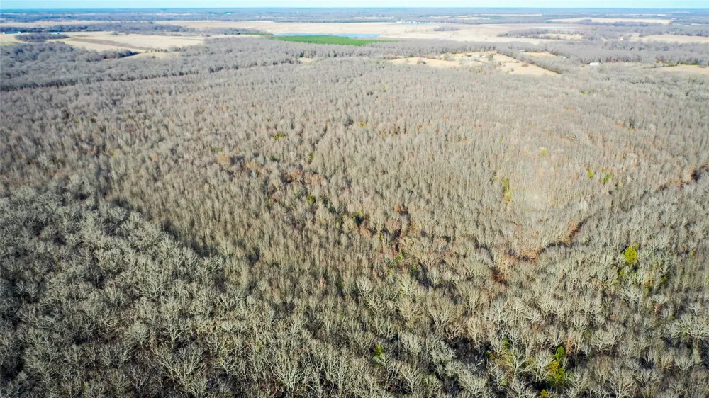 1200 County Road 1255 Detroit, TX 75436