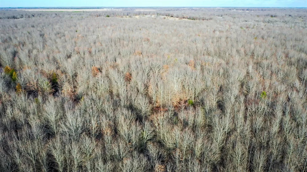 1200 County Road 1255 Detroit, TX 75436