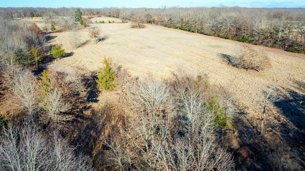 1200 County Road 1255 Detroit, TX 75436