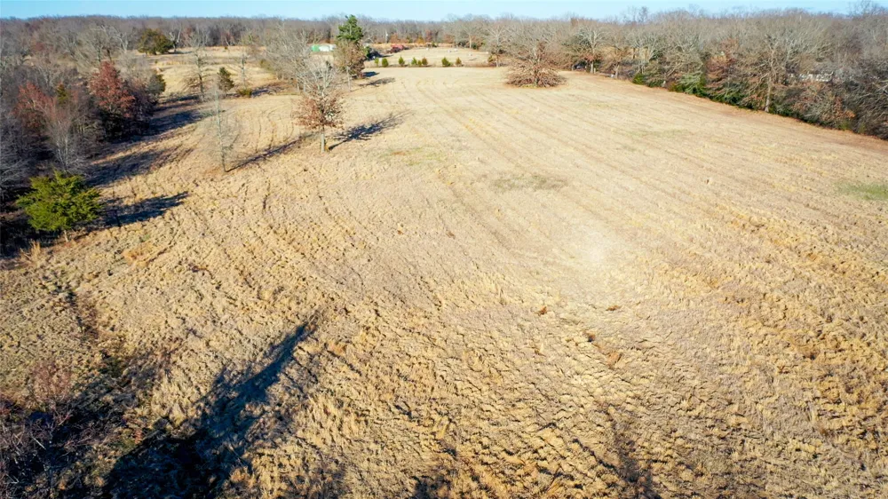 1200 County Road 1255 Detroit, TX 75436