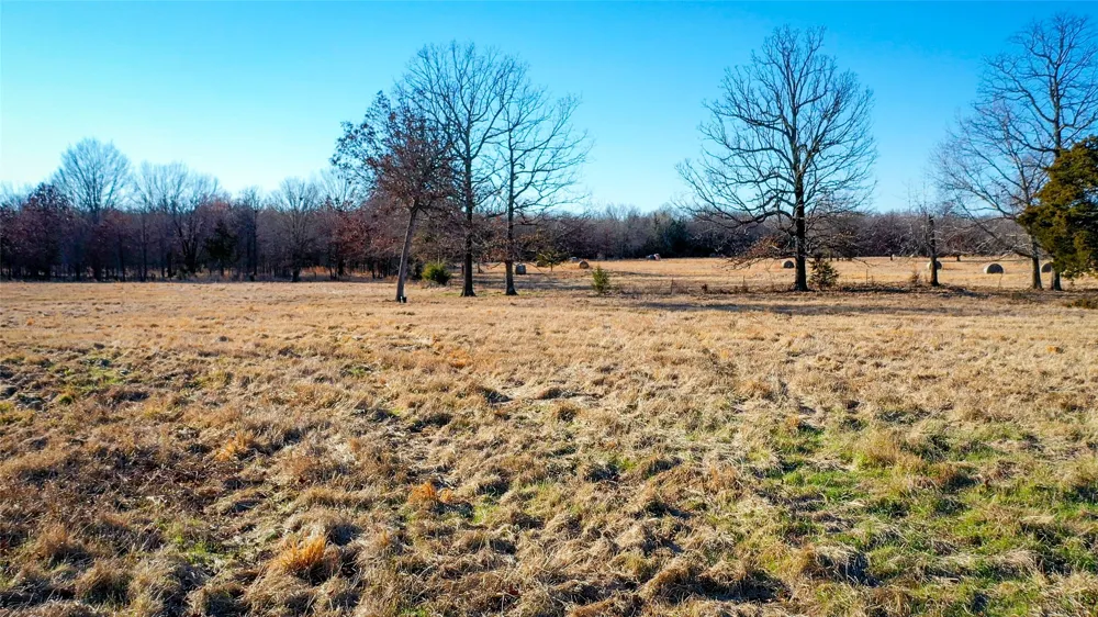 1200 County Road 1255 Detroit, TX 75436