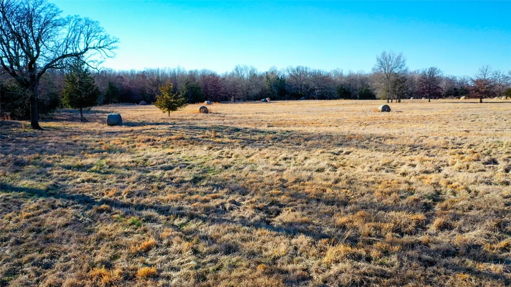 1200 County Road 1255 Detroit, TX 75436