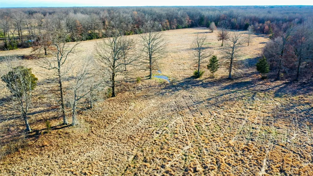 1200 County Road 1255 Detroit, TX 75436