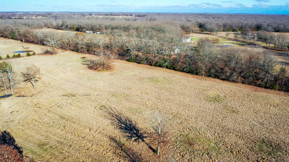 1200 County Road 1255 Detroit, TX 75436