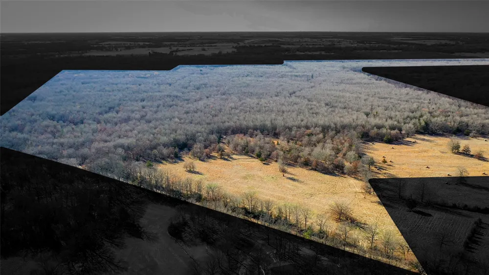 1200 County Road 1255 Detroit, TX 75436