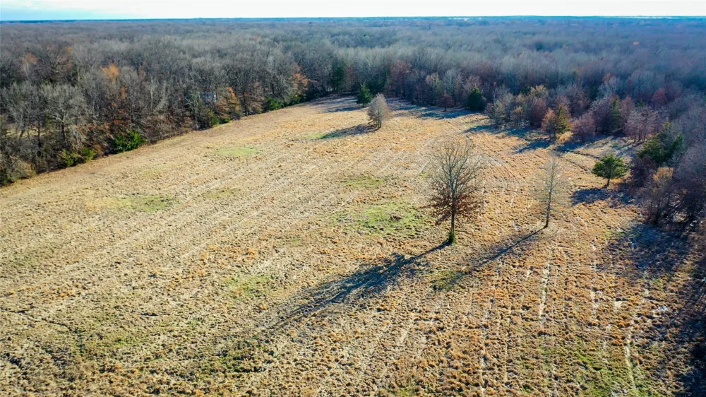 1200 County Road 1255 Detroit, TX 75436