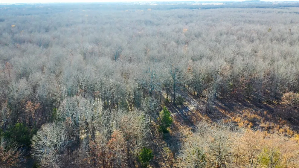 1200 County Road 1255 Detroit, TX 75436