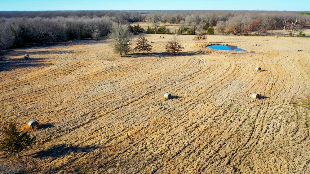 1200 County Road 1255 Detroit, TX 75436