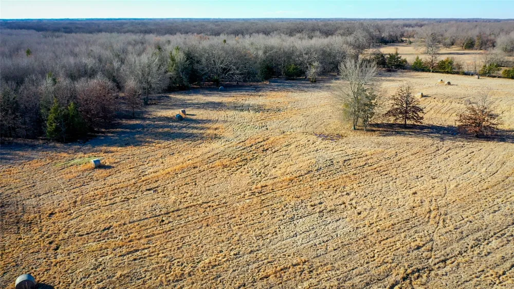 1200 County Road 1255 Detroit, TX 75436