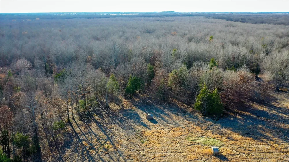 1200 County Road 1255 Detroit, TX 75436