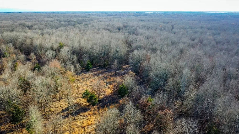 1200 County Road 1255 Detroit, TX 75436
