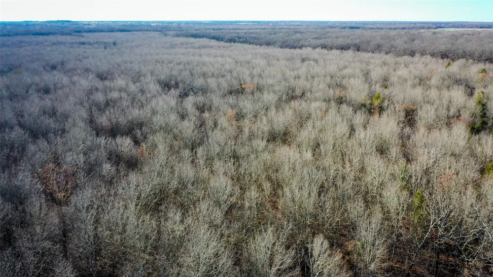 1200 County Road 1255 Detroit, TX 75436