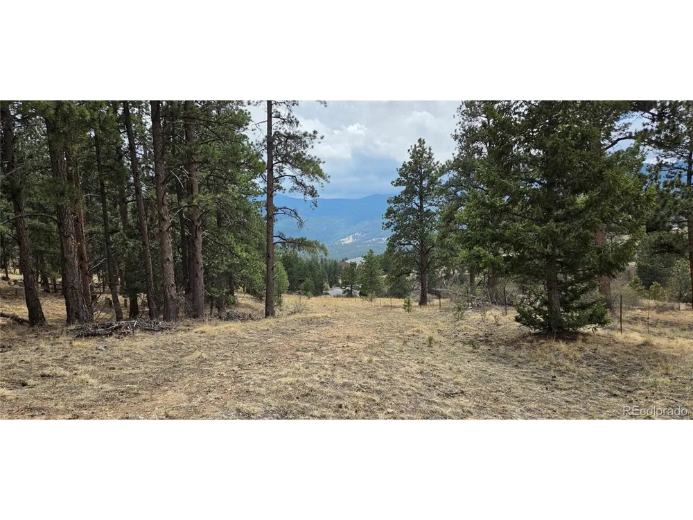 62430 US Highway 285 Bailey, CO 80421