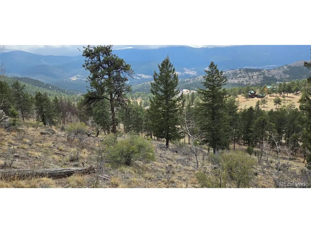 62430 US Highway 285 Bailey, CO 80421