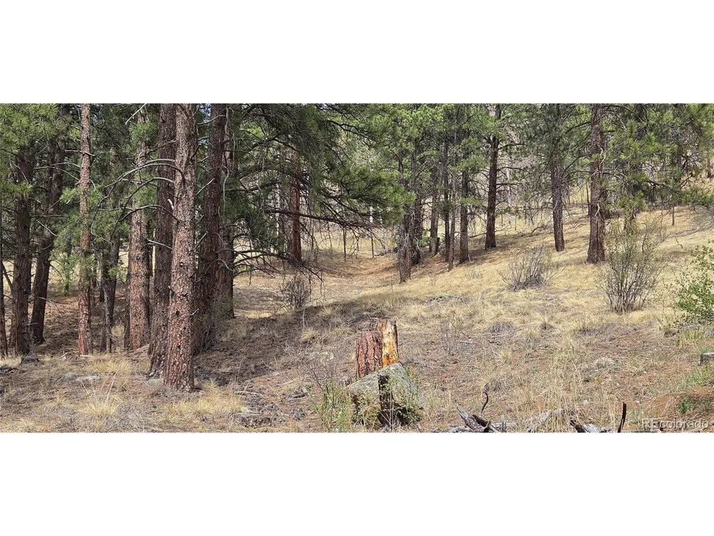 62430 US Highway 285 Bailey, CO 80421