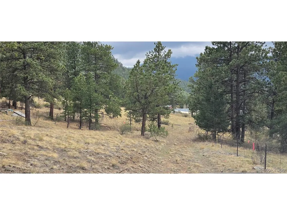 62430 US Highway 285 Bailey, CO 80421
