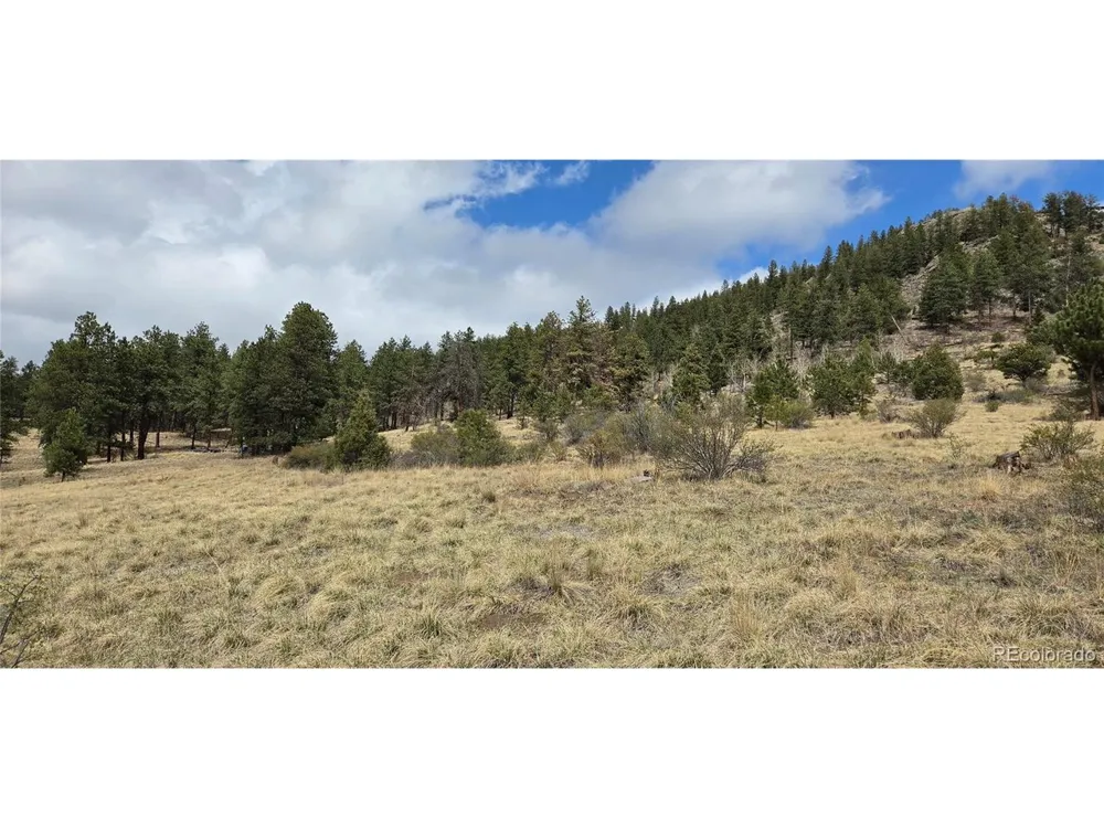 62430 US Highway 285 Bailey, CO 80421